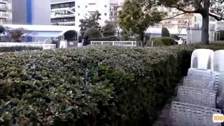 二零二三五月十六号-最新精选美女直播艳安